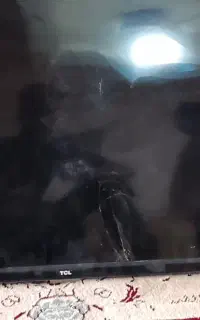 تلویزیون