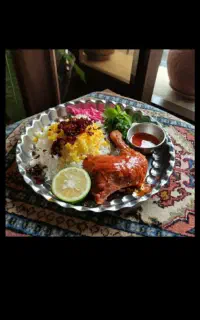 تهیه غذای خونگی با بهترین کیفیت