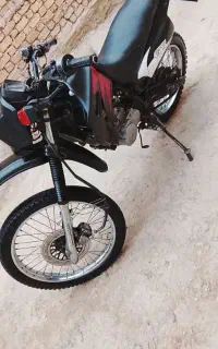 تریل پیشرو