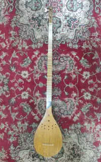 سه تار حرفه ای الگوی هاشمی