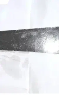 تعدادی رگال ارزان