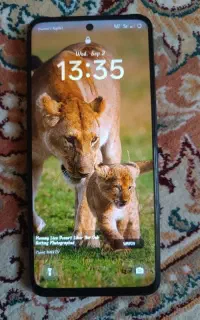 C55 حافظه 256 رم 8+8