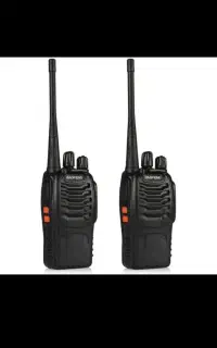 بیسیم پگ ۲عددی