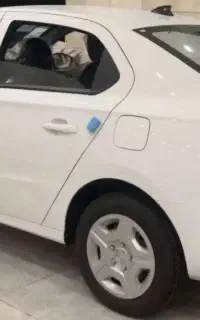 تارا V1