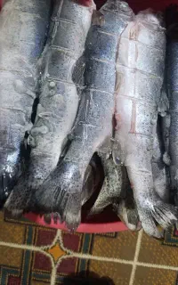 ماهی غزل پاک شده