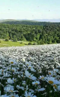 تور یکروزه دشت فندقلو