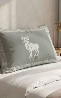 روبالشتی تاریخ تولد
