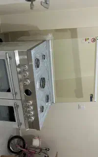 اجاق گاز تکنو گلد T-6921-WS دو فر