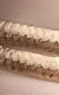 آگهی گمشده دو عدد النگو در خیابان الشتر