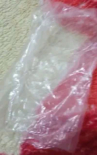 موس سالم خارجی