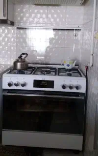 گاز مانیتوری نو