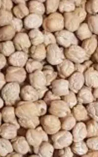 نخود تمیز و خوش پخت  به شرط