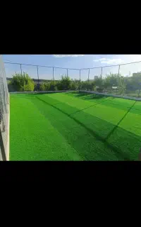 چمن مصنوعی درحدنو