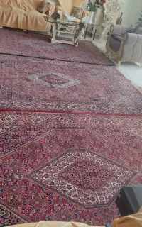 3 عدد فرش 6 متری دست باف صفر آباد زنجان