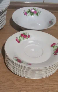 نعلبکی گلسرخی