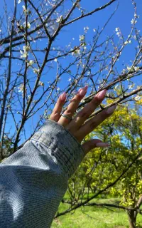 خدمات ناخن با قیمت مناسب