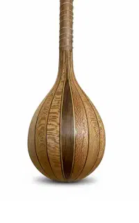 سه تار ویژه هامون مدل الکترو آکوستیک