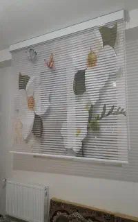 پرده زبرا دومکانیزه