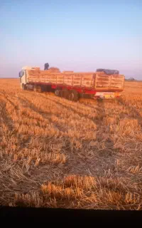 کاه گندم از گنبد کاووس قیمت مقطوع