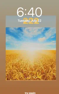 فروش سیم دایمی رند