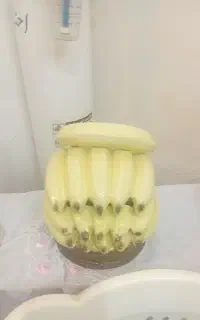 دیس لعابی‌گزخوری‌دوتادیس