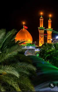 یارازق .کاروان سیاحتی وزیارتی کبوتران حرم مطهر
