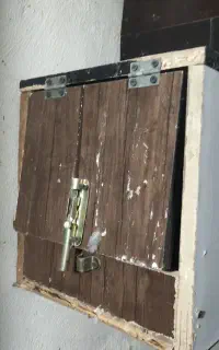 لانه شاه طوطی