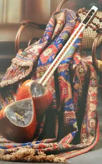 قالیشویی مبل شویی هروی حسین آباد لویزان ازگل