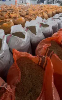 کارگر شالیکوبی ‌(برنجکوبی)