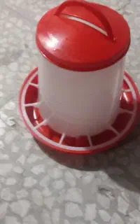 گنجه کفتر