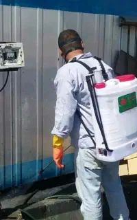 موریانه زدایی وگازگیری ساس سوسک سمپاشی حشرات