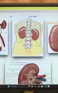 شیمی زیست کنکور با درصدای بالا ۵۰ درصد
