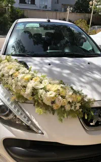 اجاره ماشین عروس 207