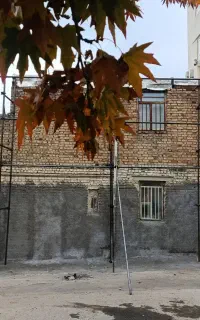 داربست فلزی علیرضا