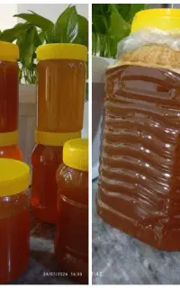 عسل ناب محلی