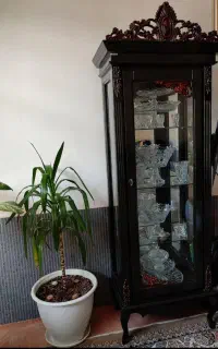 بوفه در حد نو