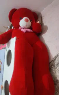 خرس بزرگ