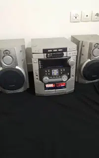 ظبط