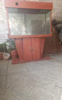 آکواریوم شرکتی