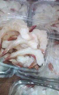 فروش میگو خودقشم