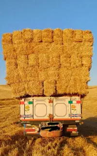فروش کاه و پرس