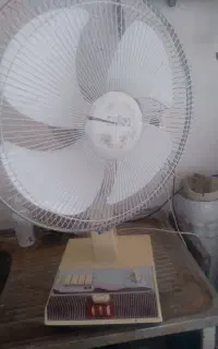پنکه زمینی