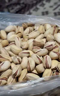 پسته اکبری درجه