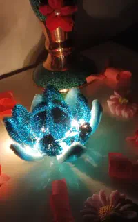 گل مخملی چراغ دار