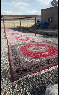 قالیشویی فرسفج