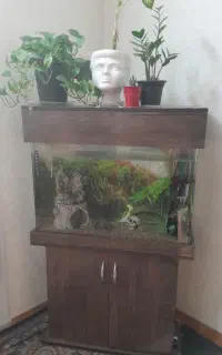 اکواریوم همراه با وسایل جانبی