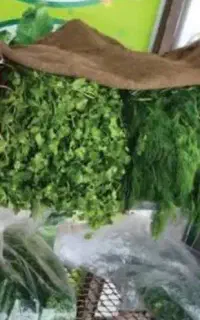 سبزی خوردنی