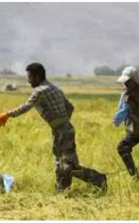 خوزستان نیاز به کارگر ااتباع باخانوار