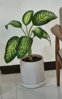 گلدان دوعدد بدون گل