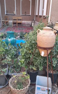 هاستل  سویت بومگردی